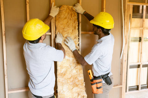 Best Attic Insulation Installation  in Leawood, KS